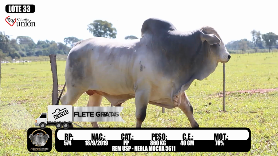 Lote LOTE 33  RP 574