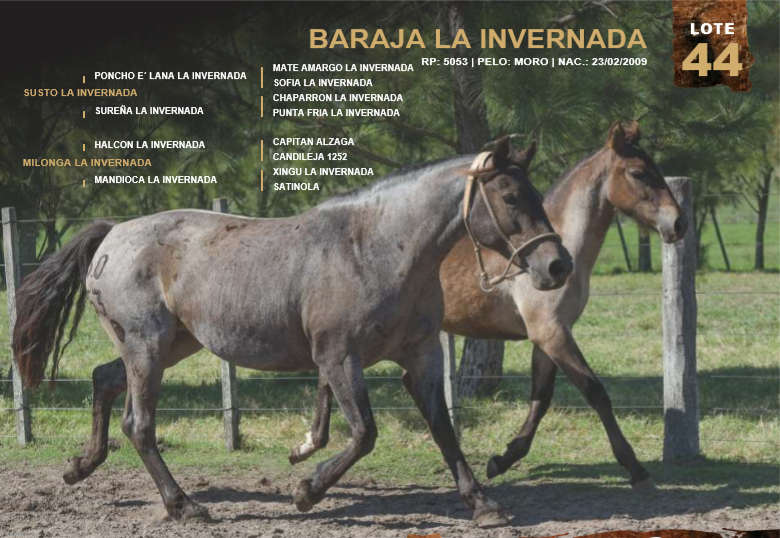 Lote BARAJA LA INVERNADA