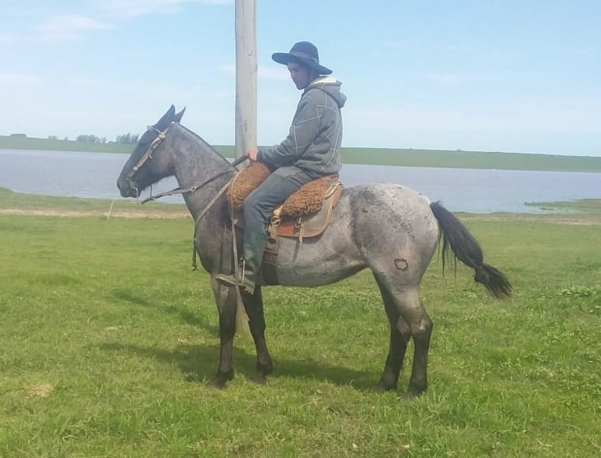 Lote Cabaña "Ana Elvira" - RP 10 - Cuca Carbonero