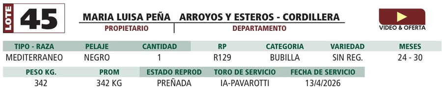 Lote LOTE 45