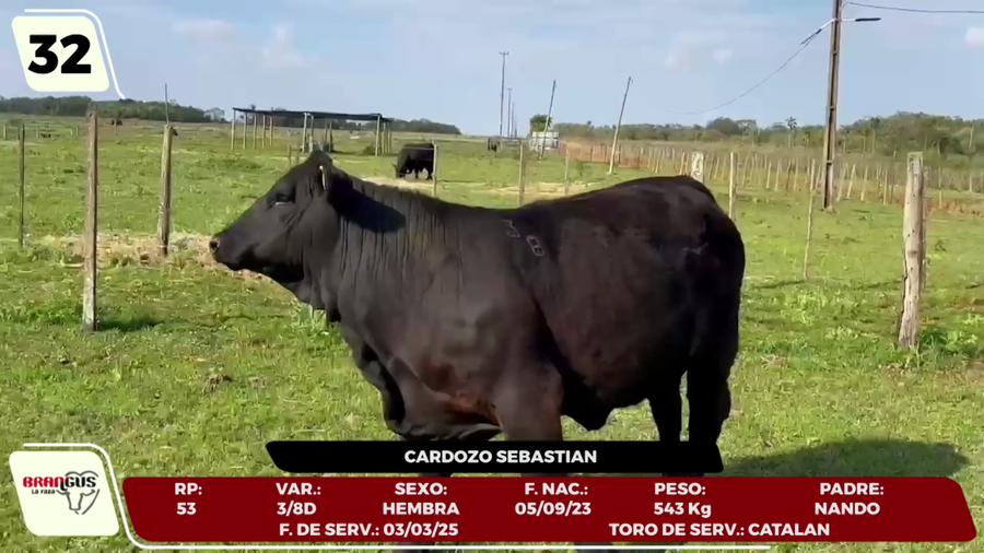 Lote LOTE 32 - CAMPO