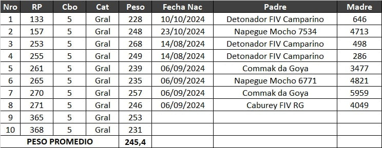 Lote LOTE 17- POR PANTALLA