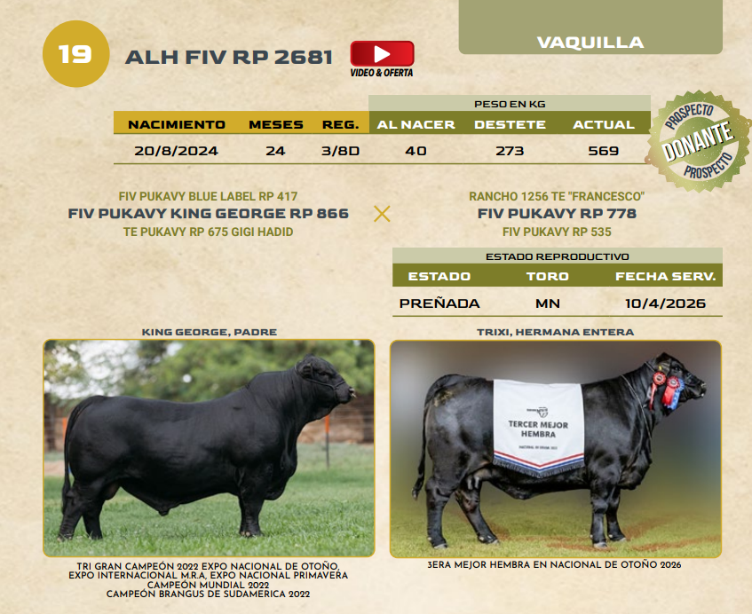 Lote LOTE 19