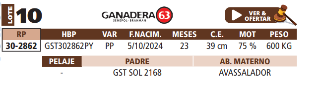 Lote LOTE 10