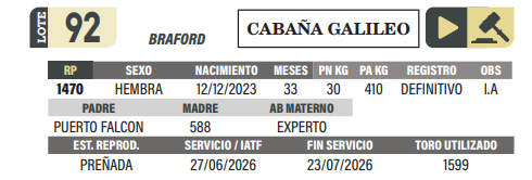 Lote LOTE 92