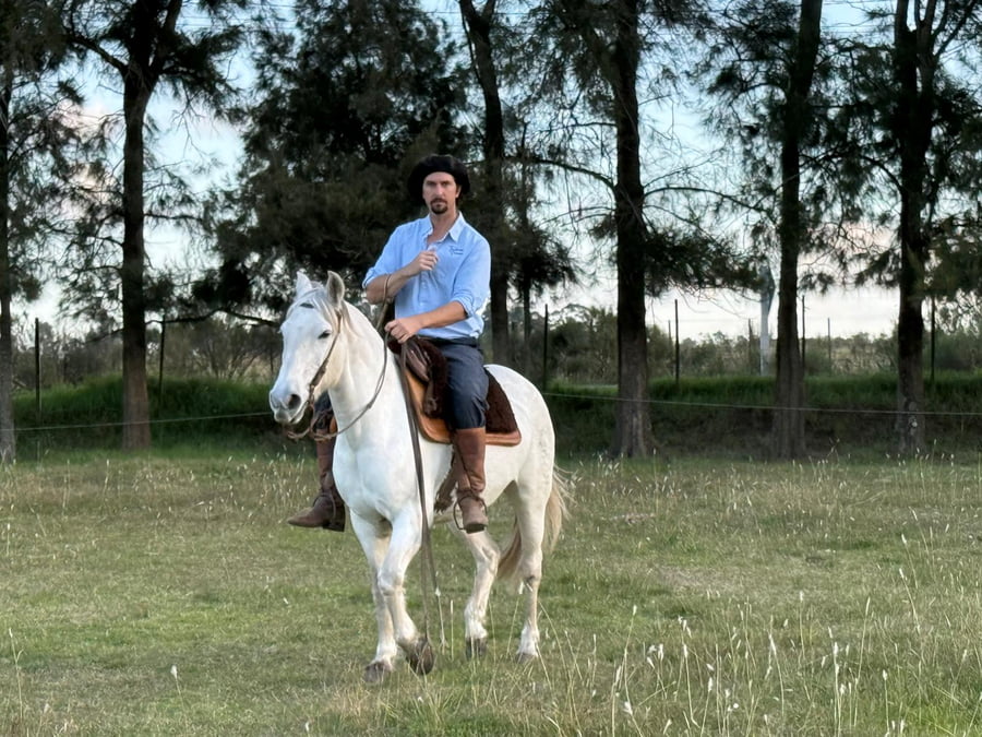 Lote Tordilla Mansa de Andar