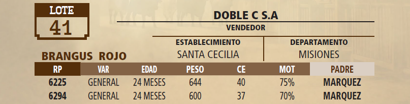Lote LOTE 41 - VIVO