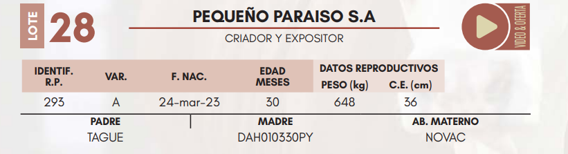 Lote LOTE 28 MACHOS DE CAMPO
