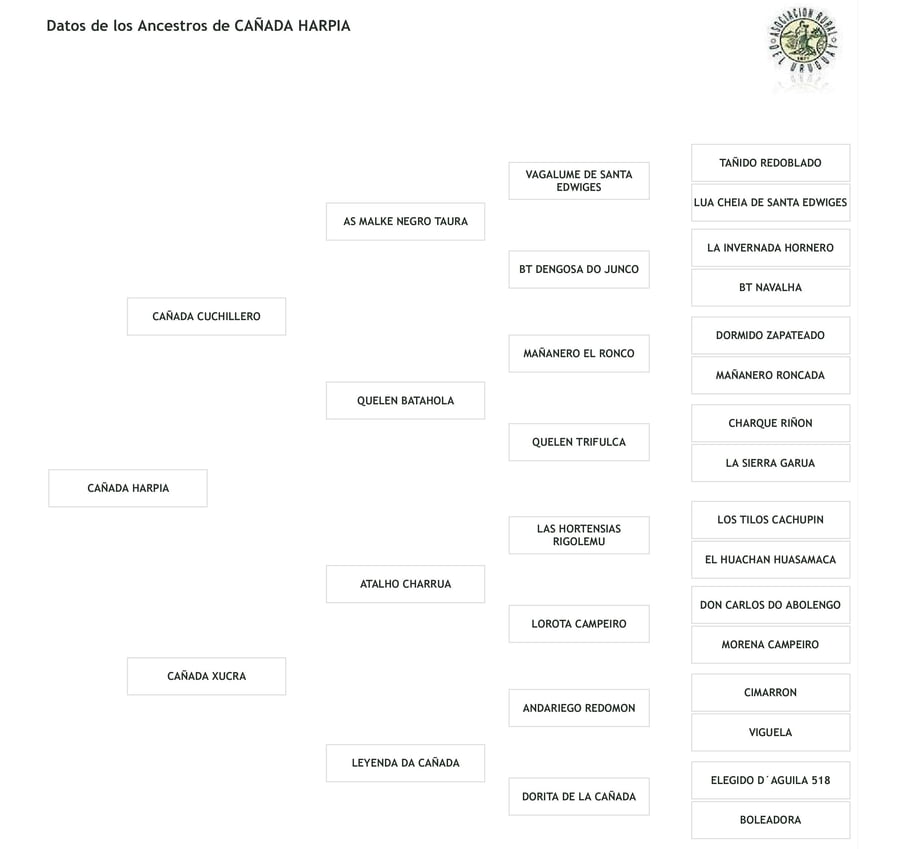 Lote Cabaña "La Cañada" - RP 306 - Cañada Harpia