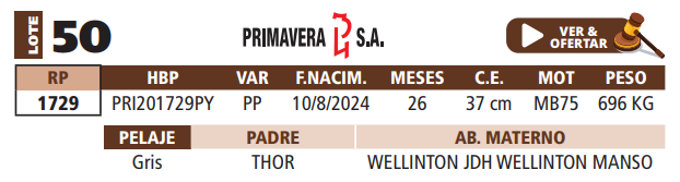 Lote LOTE 50