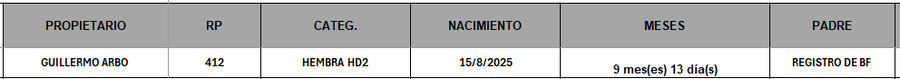 Lote LOTE 15