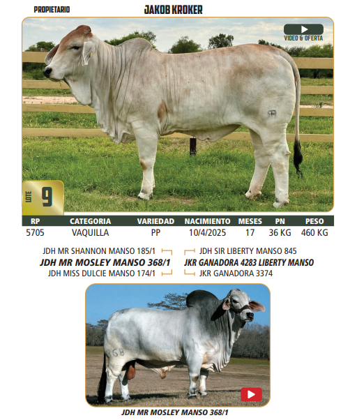 Lote LOTE 9