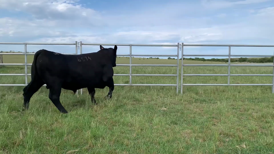 Lote "El Gualicho", RP 6574