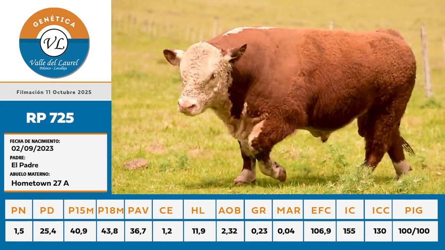 Lote 1 - Valle del Laurel