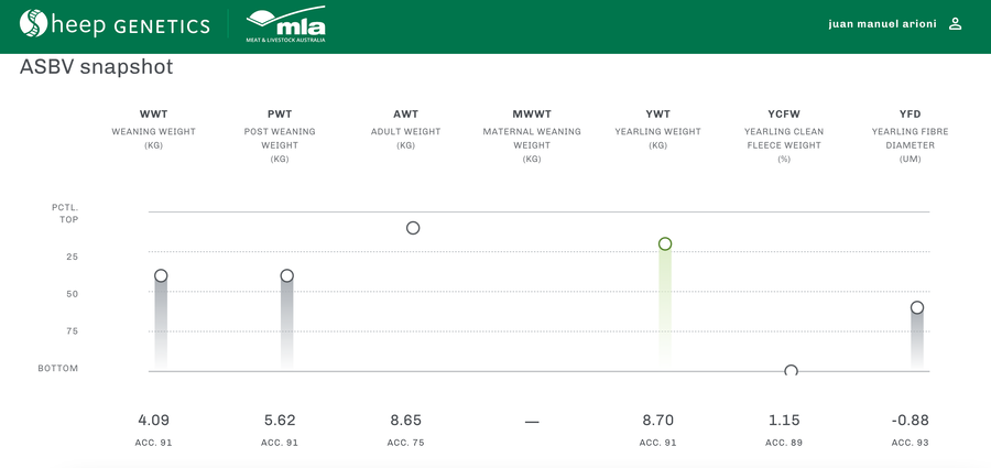 Lote Carnero TOP A, 18-0089