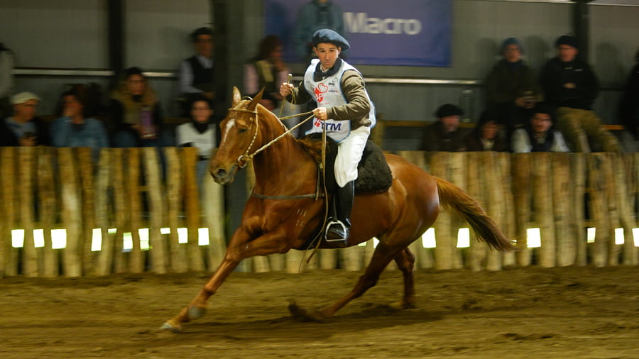 Lote EQRA MANDARINA