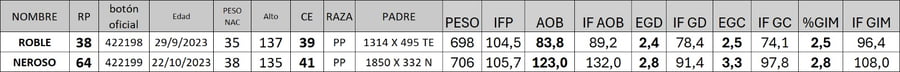 Lote Toro PP