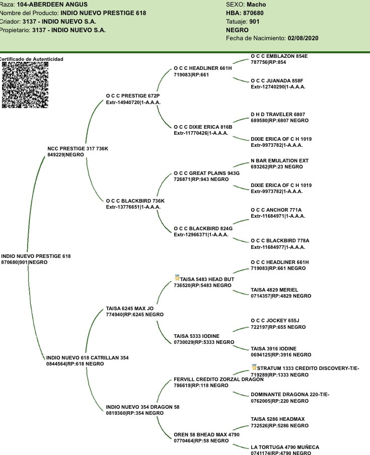 Lote "Toros ""SANTA ROSA"""