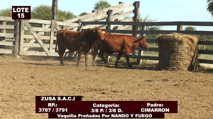 Lote Cabañas de Tradición - Lote 15
