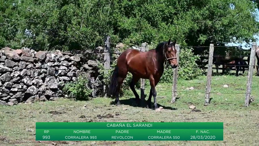 Lote Corralera 993