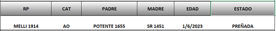 Lote LOTE 64