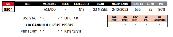 Lote LOTE 13