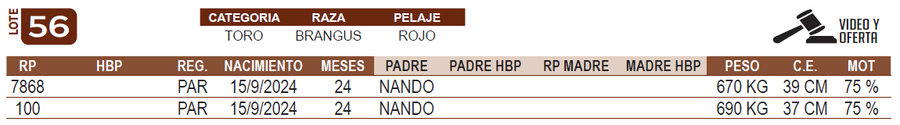 Lote LOTE 56