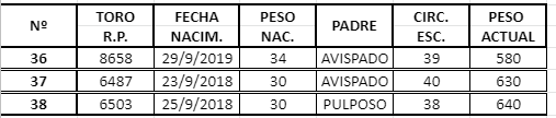 Lote TOROS ANGUS NEGRO PURO CONTROLADO