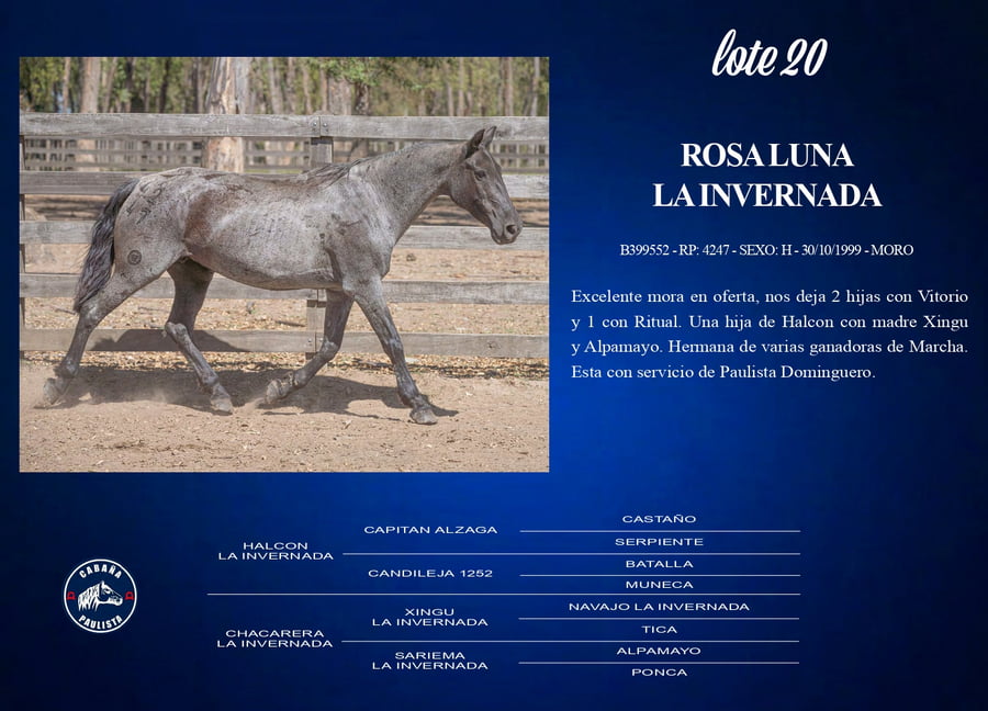 Lote RosaLuna La Invernada