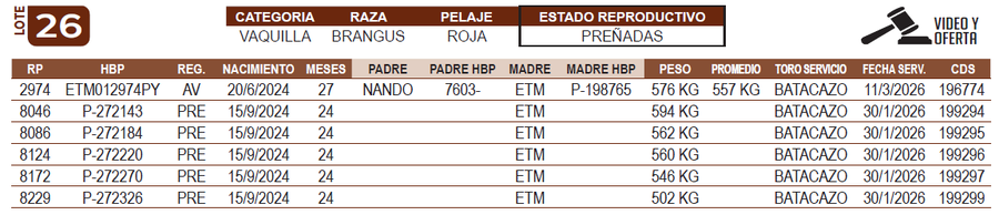 Lote LOTE 26