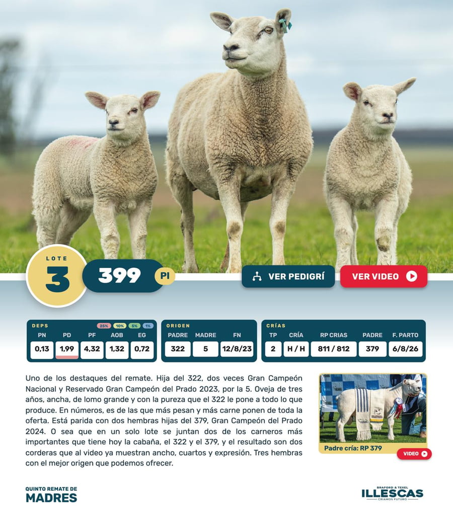 Lote Lote 3