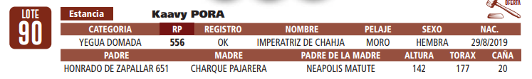 Lote LOTE 90