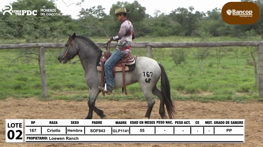 Lote Lote 2