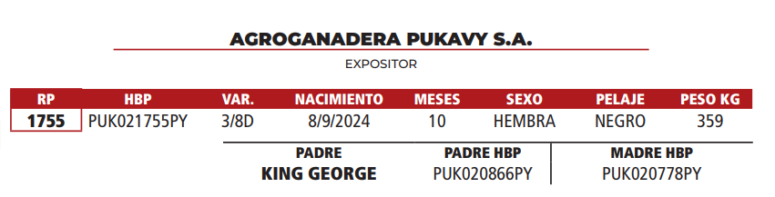 Lote LOTE 3