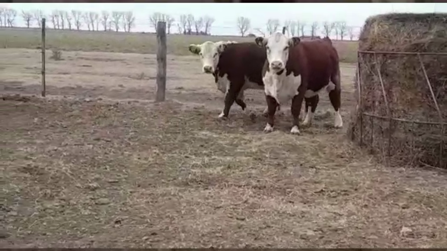 Lote CABAÑA MI PARAISO