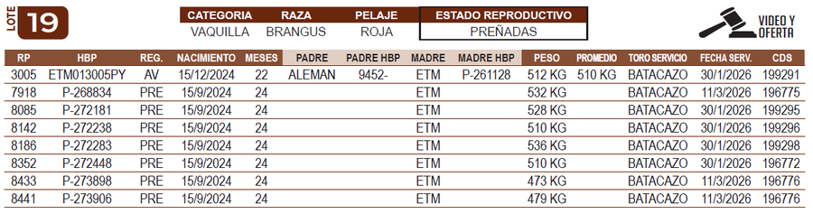 Lote LOTE 19