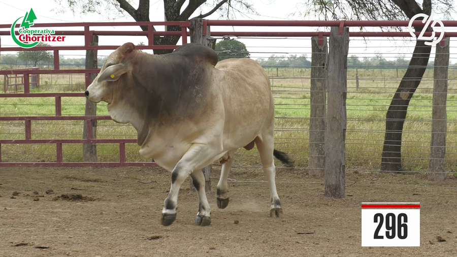 Lote Brahman