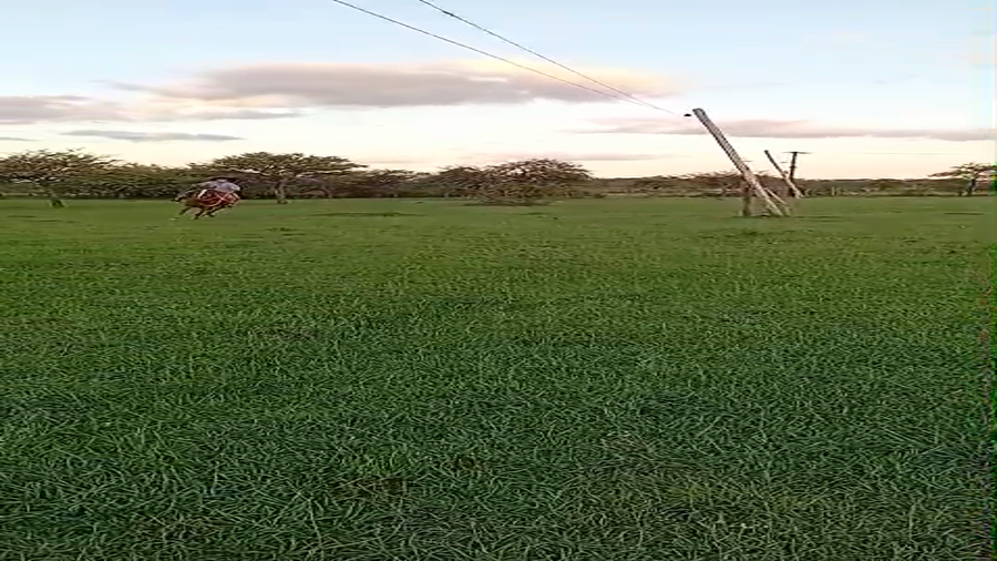 Lote 1 Montados en Corrientes, Curuzú-Cuatiá