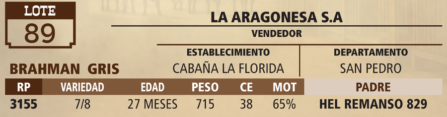 Lote LOTE 89 - VIVO