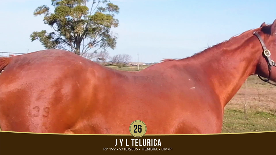 Lote Lote 26