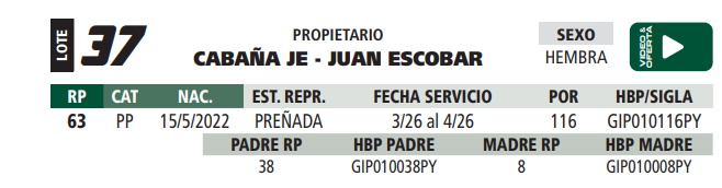 Lote LOTE 37
