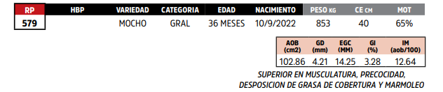 Lote LOTE 68