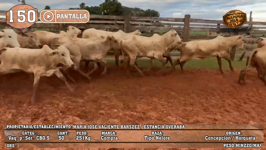 Lote LOTE 150 - PANTALLA