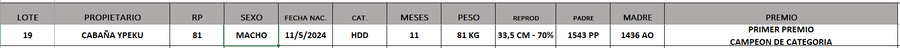 Lote LOTE 19