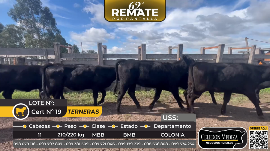 Lote 11 Terneras en Tarariras, Colonia