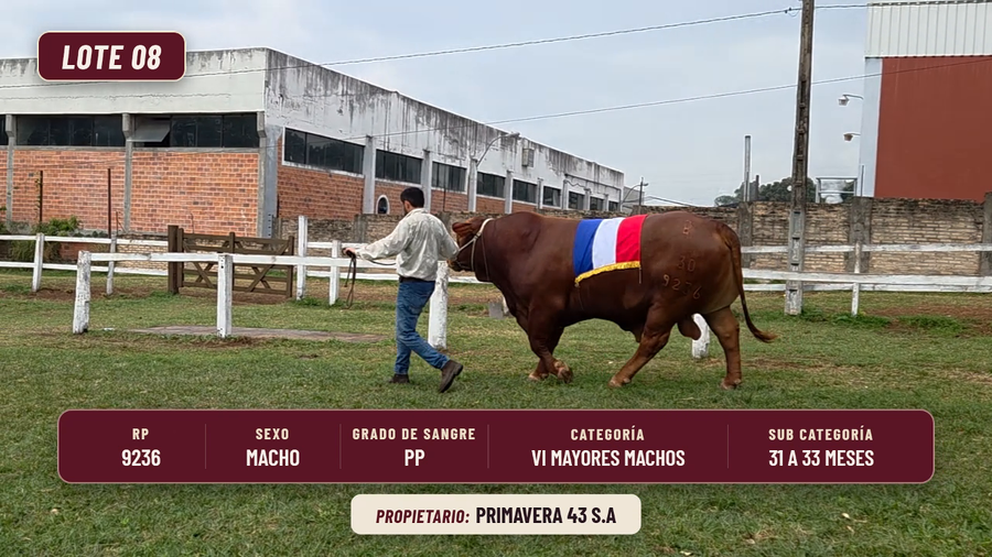 Lote LOTE 8