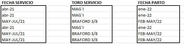 Lote VAQUILLONA PREÑADAS CORRAL 81