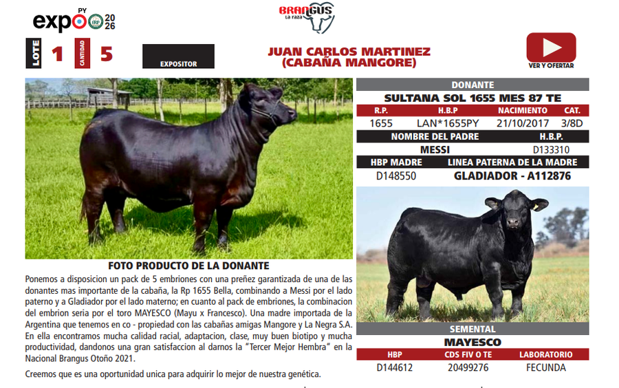 Lote LOTE 1
