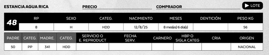 Lote LOTE 48
