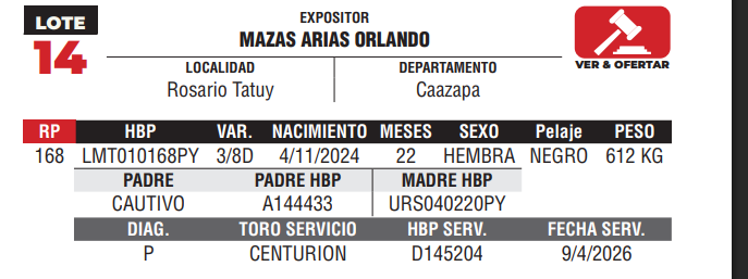 Lote LOTE 14 - DE CAMPO